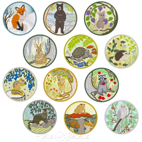 Windows into the Woods Collection